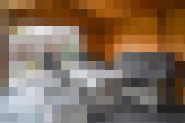 Industriestraat 2 Reuver thumbnail 28