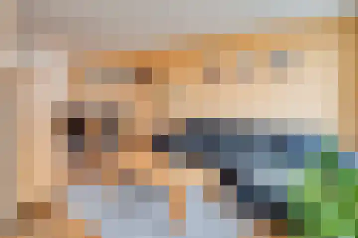 Industriestraat 2 Reuver thumbnail 7