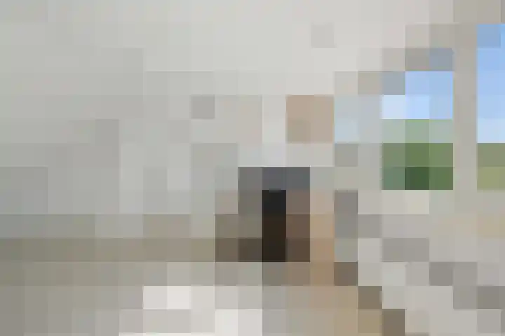 Industriestraat 205 Hengelo thumbnail 30