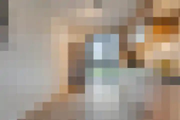Industriestraat 35 Tubbergen thumbnail 8