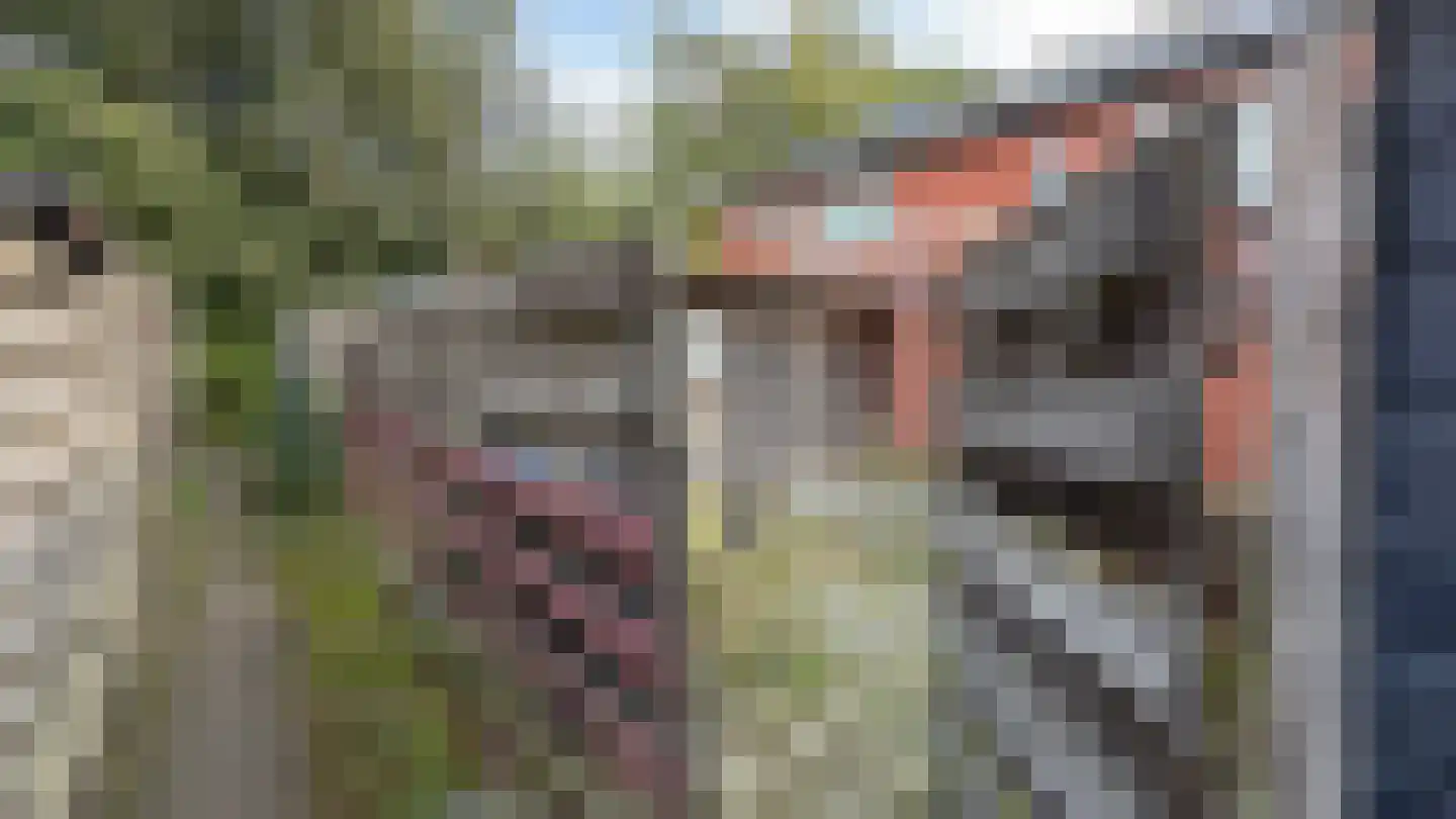 Industriestraat 43 Groningen thumbnail 21