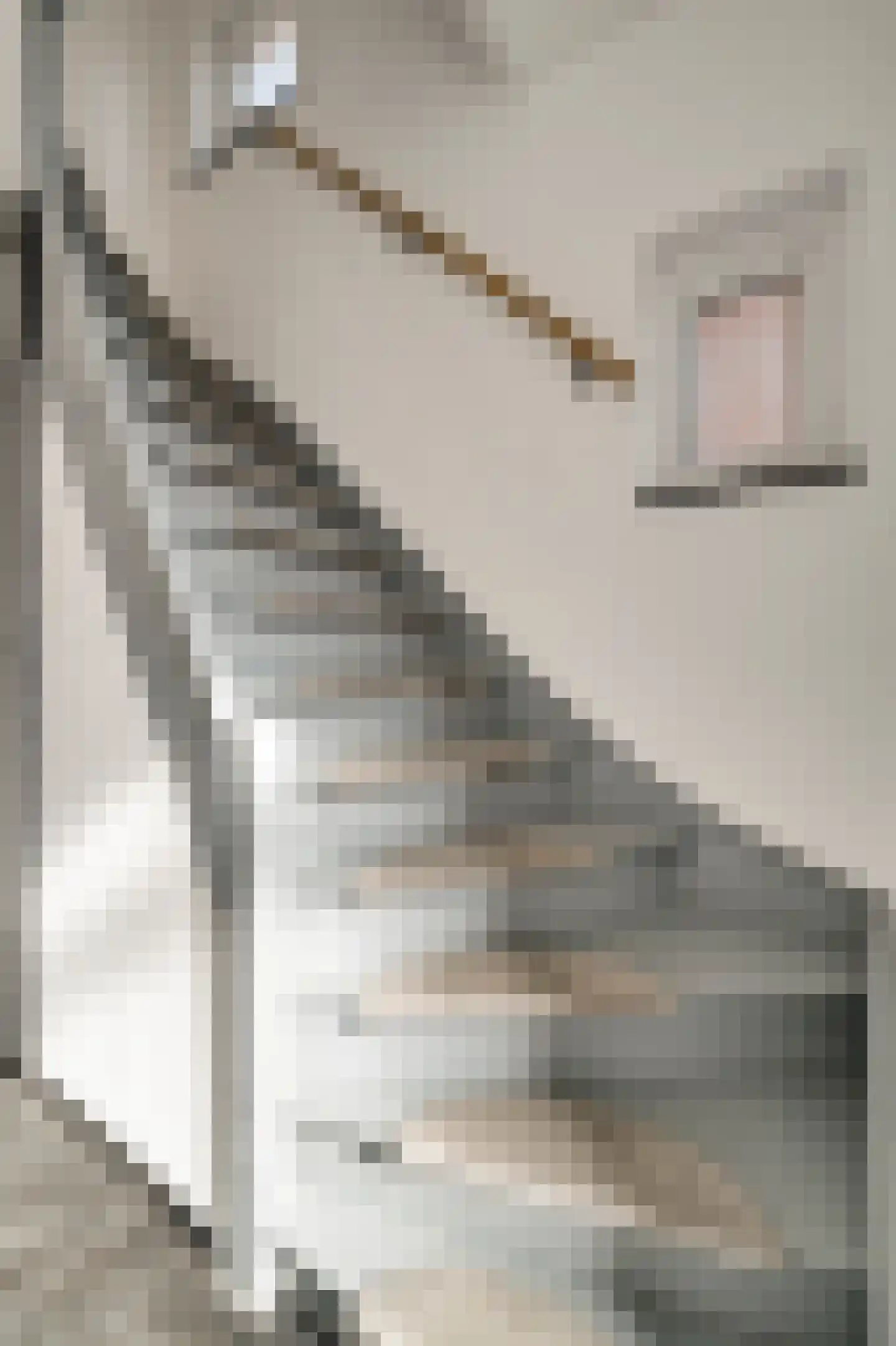 Industriestraat 47 Tegelen thumbnail 12