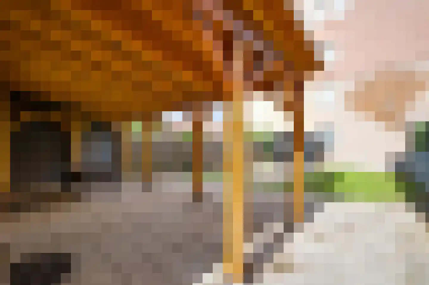 Industriestraat 47 Tegelen thumbnail 42