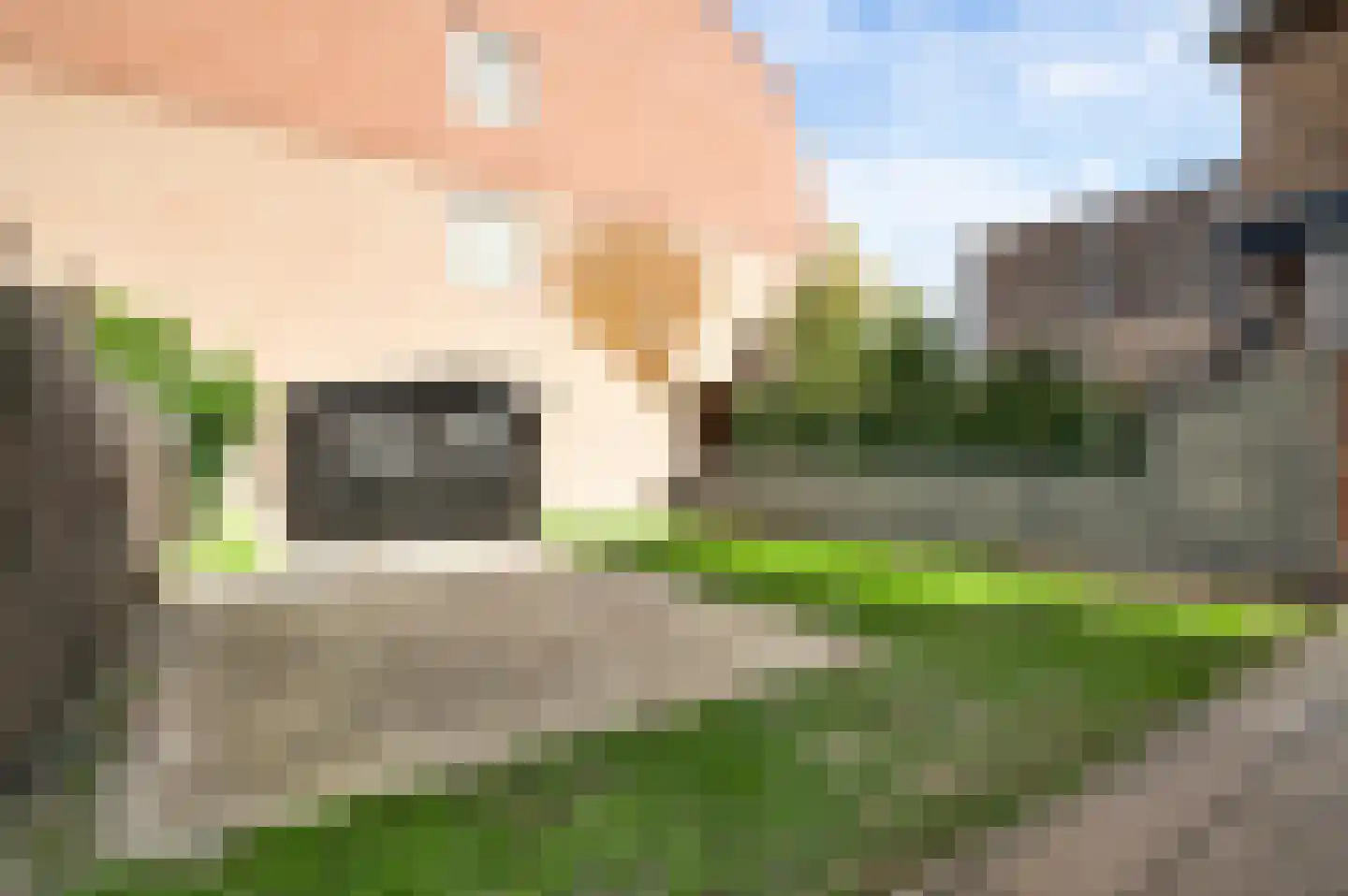 Industriestraat 47 Tegelen thumbnail 44
