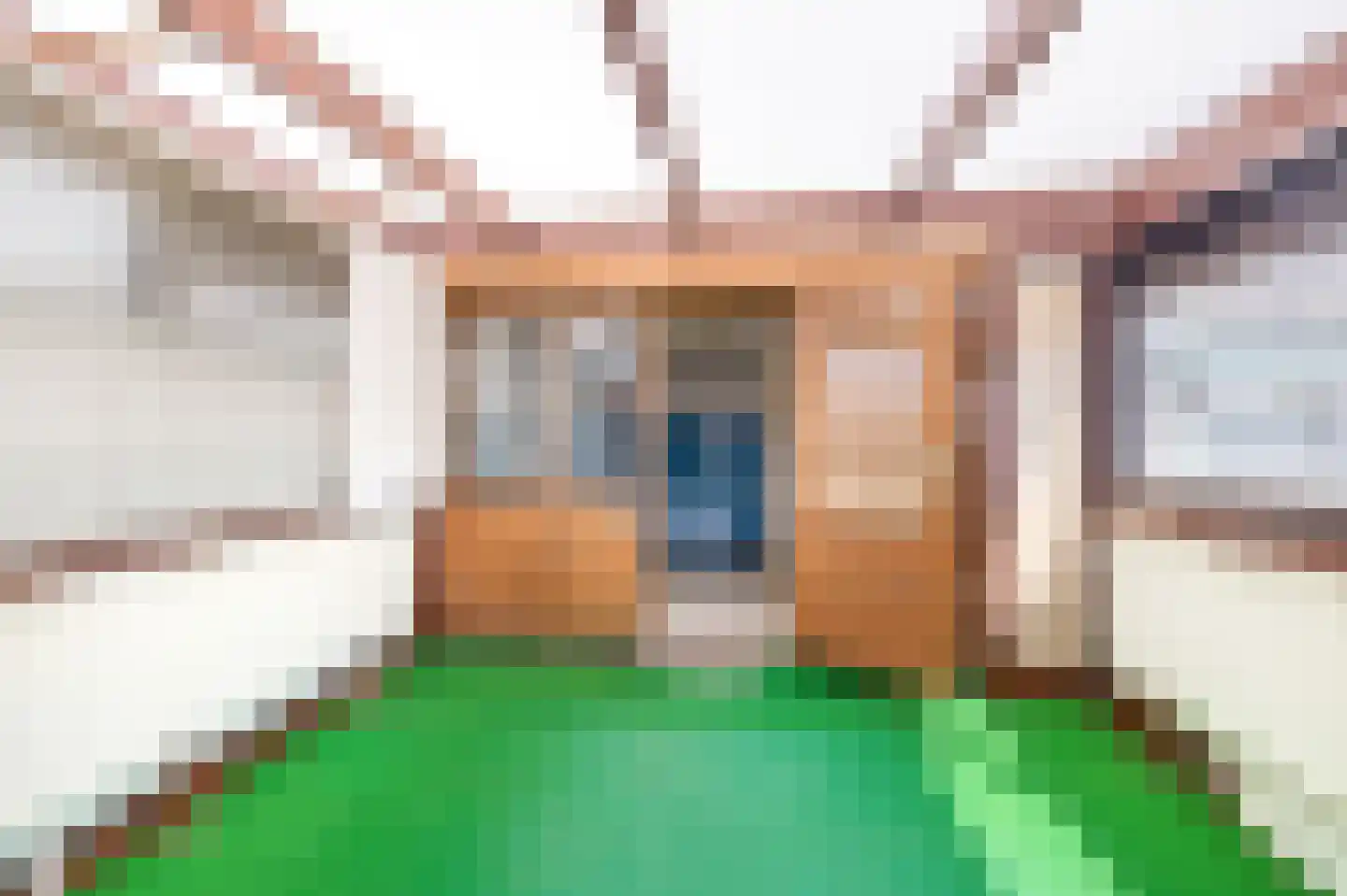 Industriestraat 54 Tegelen thumbnail 40
