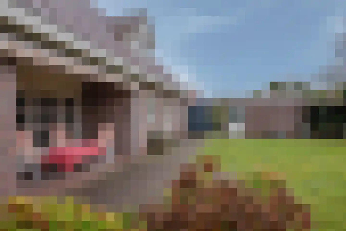 Industriestraat 74 Tegelen thumbnail 42