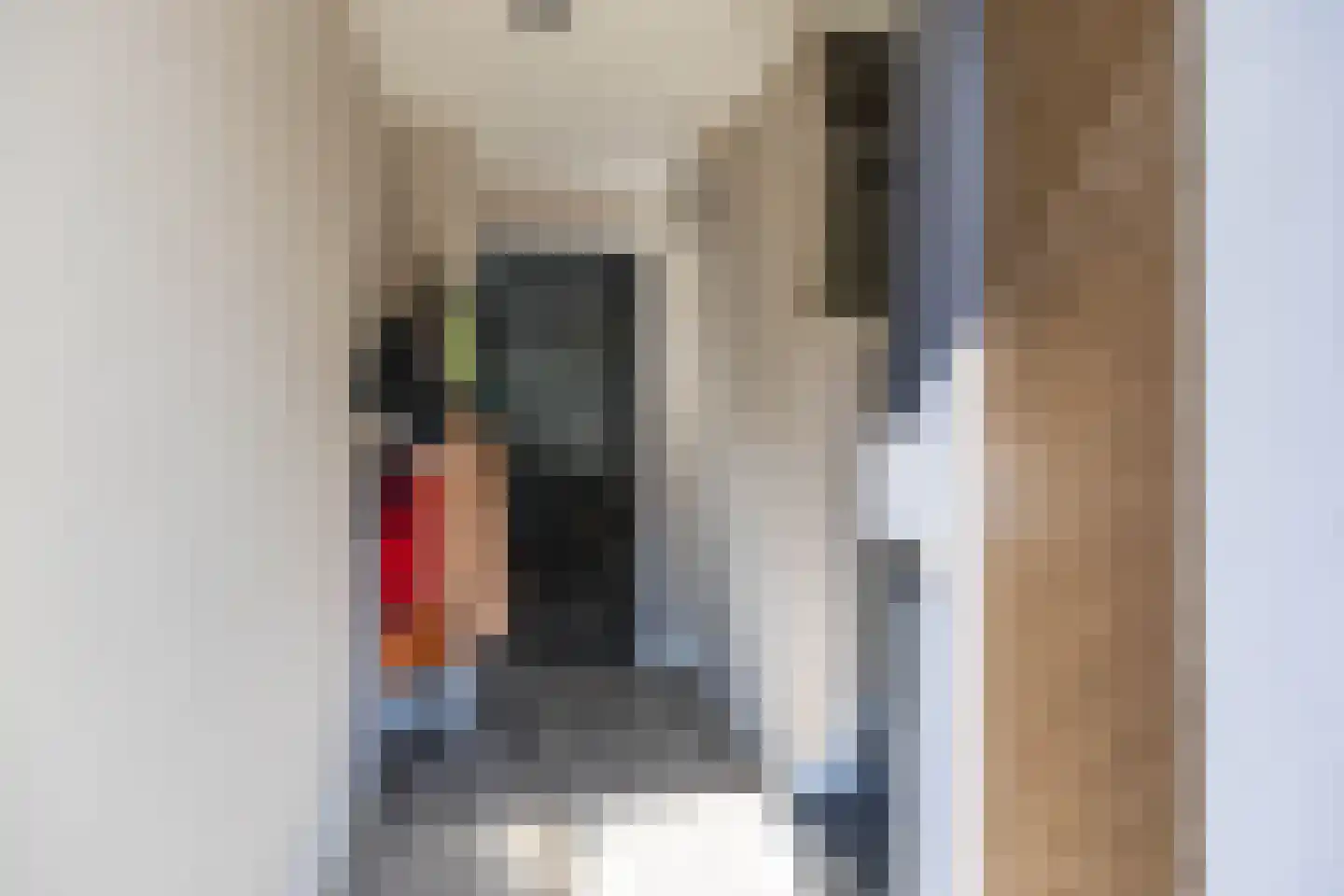 Industriestraat 81 Groningen thumbnail 8