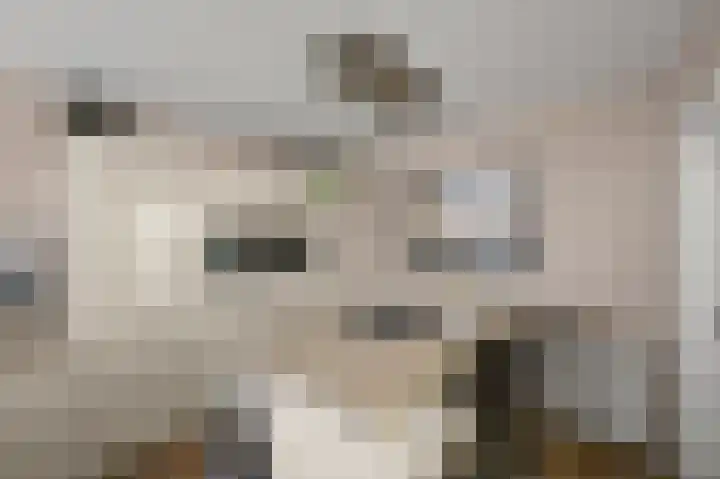 Industrieweg 1 Assendelft thumbnail 12