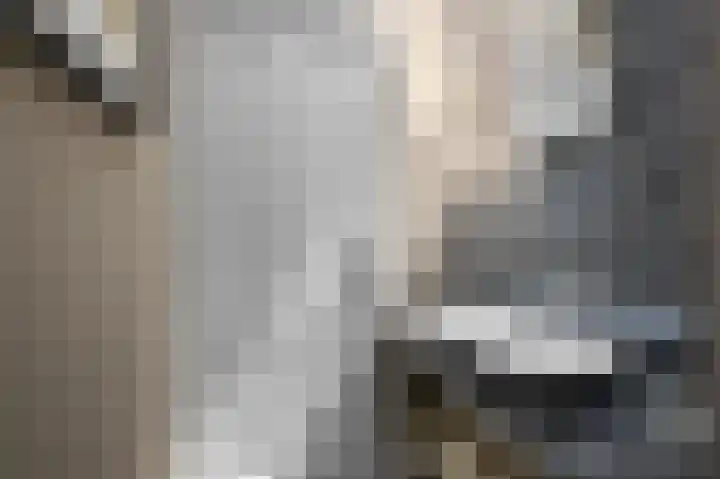 Industrieweg 1 Assendelft thumbnail 17