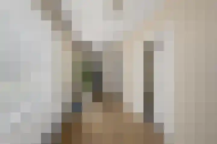 Industrieweg 1 Assendelft thumbnail 19