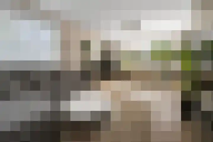 Industrieweg 1 Assendelft thumbnail 4
