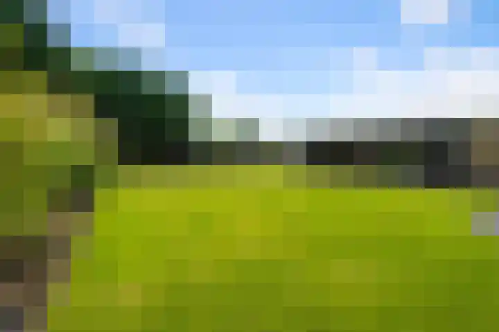 Industrieweg 1 Assendelft thumbnail 49