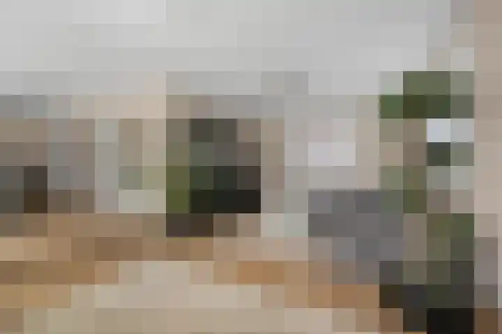 Industrieweg 1 Assendelft thumbnail 5