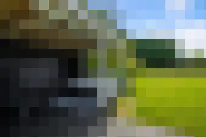 Industrieweg 1 Assendelft thumbnail 51
