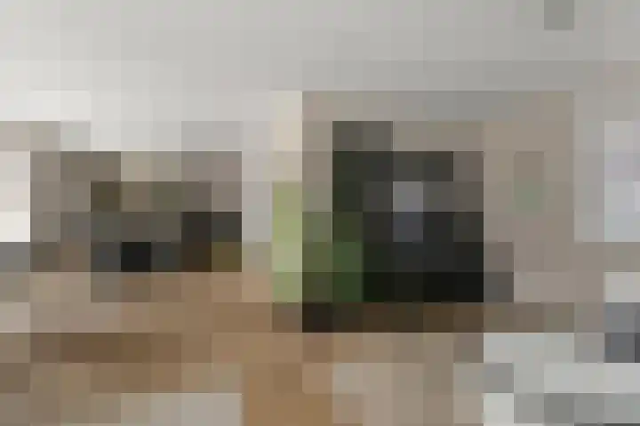 Industrieweg 1 Assendelft thumbnail 6