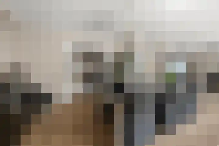 Industrieweg 1 Assendelft thumbnail 8