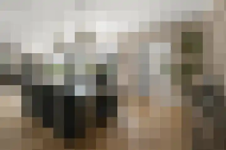 Industrieweg 1 Assendelft thumbnail 9