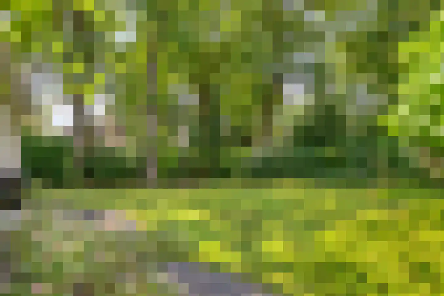 Industrieweg 1 Vaassen thumbnail 39