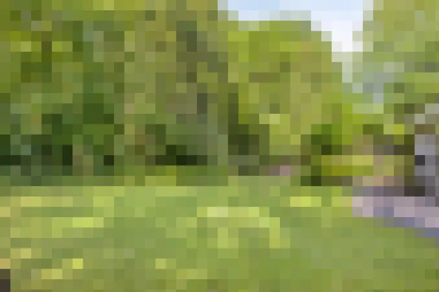 Industrieweg 1 Vaassen thumbnail 43