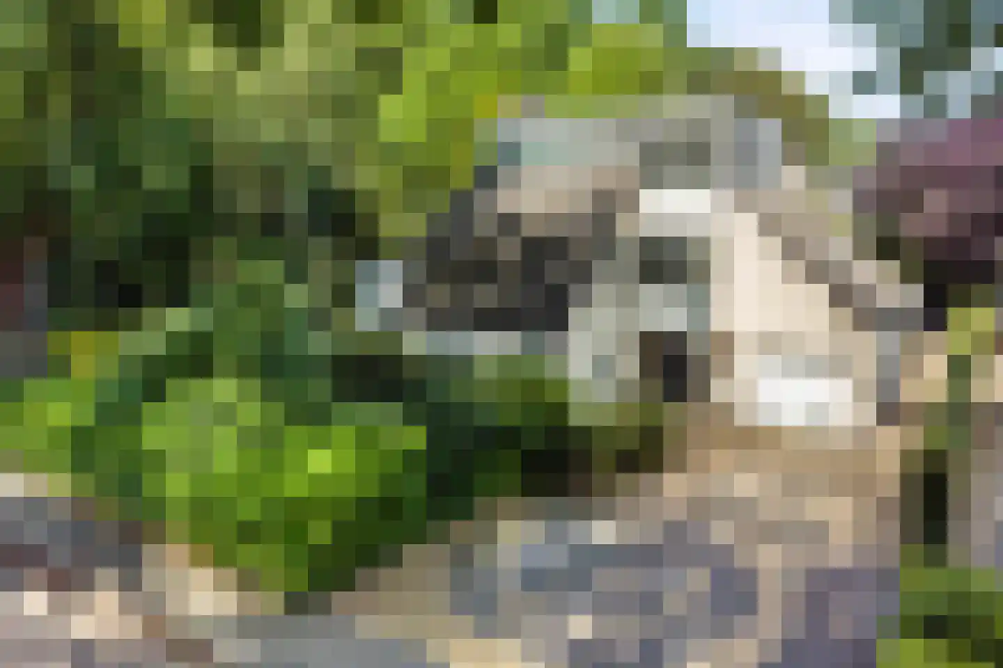 Industrieweg 1 Vaassen thumbnail 47