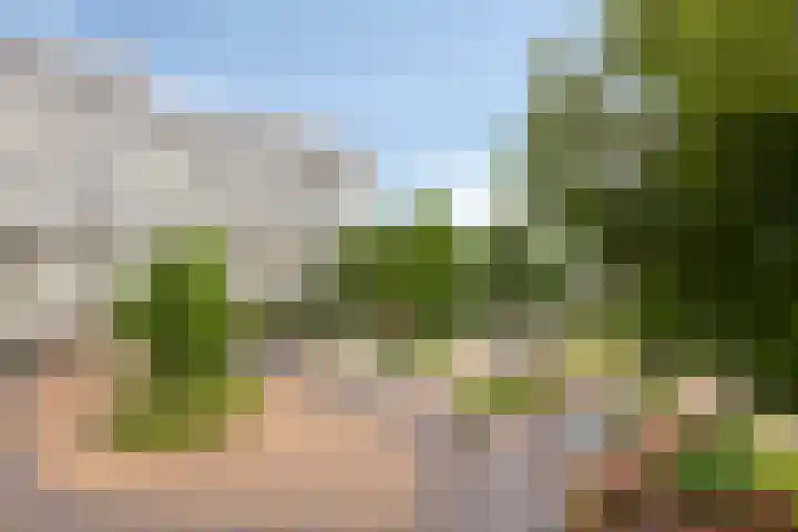 Industrieweg 130 Terborg thumbnail 16