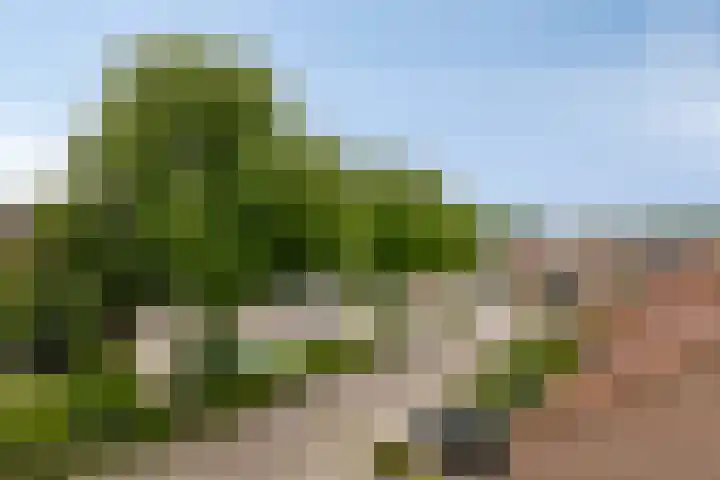 Industrieweg 130 Terborg thumbnail 26