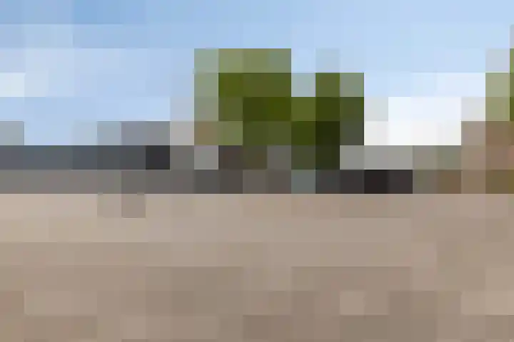 Industrieweg 130 Terborg thumbnail 30