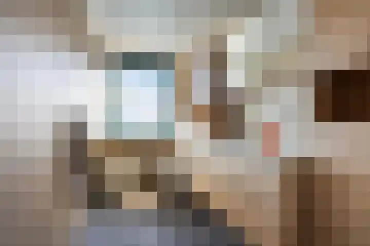 Industrieweg 26 Druten thumbnail 21