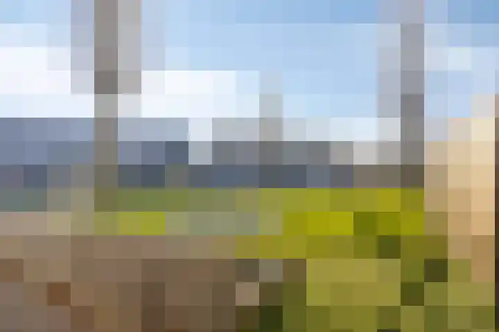 Industrieweg 26 Druten thumbnail 34