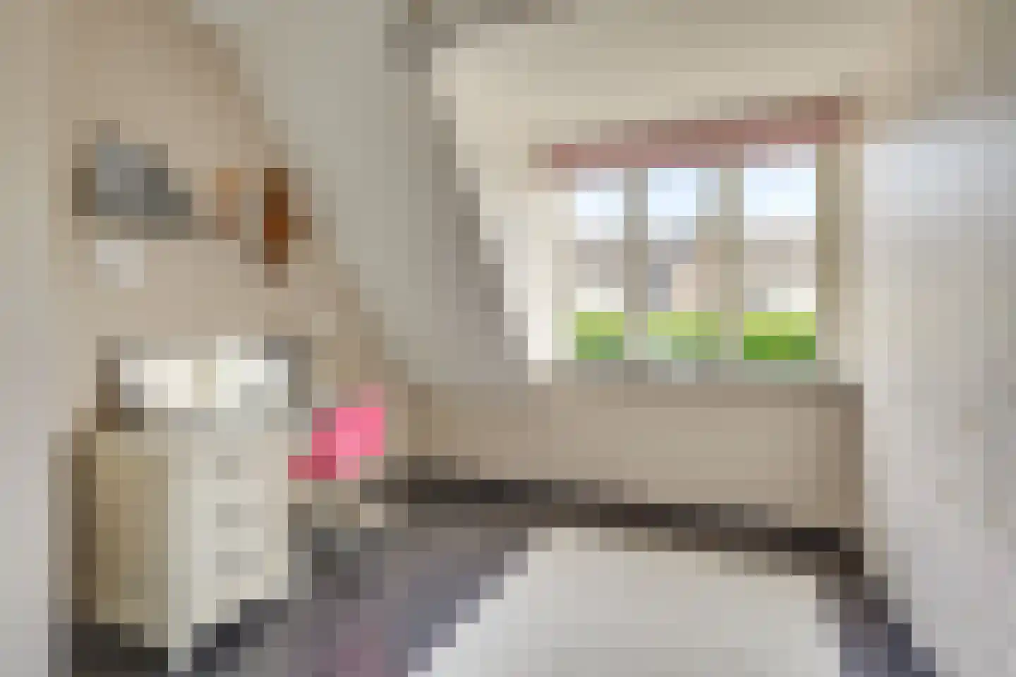 Industrieweg 31 Deurne thumbnail 33