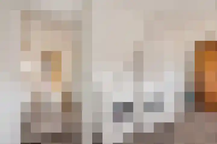 Industrieweg 36 b Vriescheloo thumbnail 21