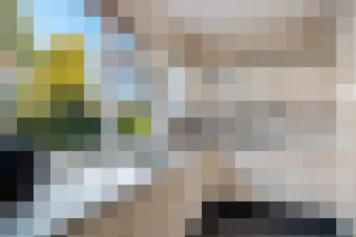 Industrieweg 36 b Vriescheloo thumbnail 32