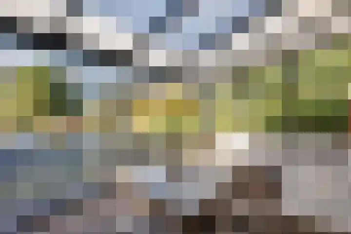 Industrieweg 36 b Vriescheloo thumbnail 34