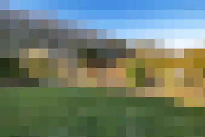 Industrieweg 36 b Vriescheloo thumbnail 37