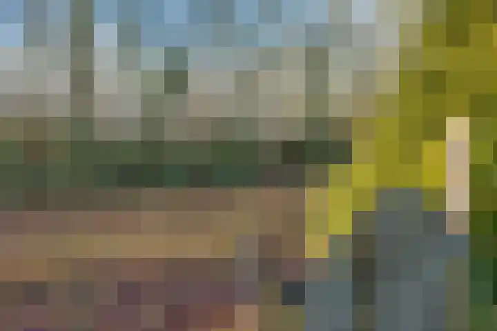 Industrieweg 36 b Vriescheloo thumbnail 39