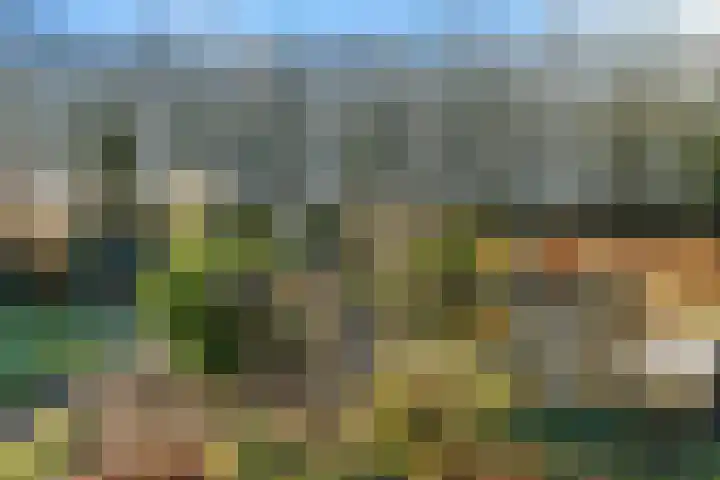 Industrieweg 36 b Vriescheloo thumbnail 4