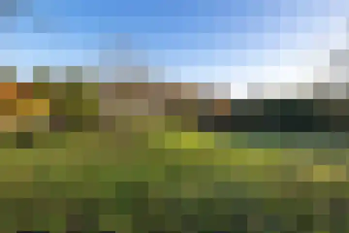 Industrieweg 36 b Vriescheloo thumbnail 40