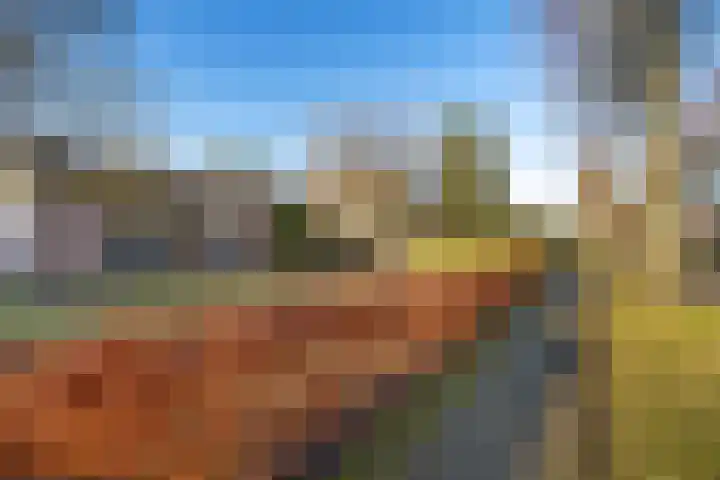 Industrieweg 36 b Vriescheloo thumbnail 8
