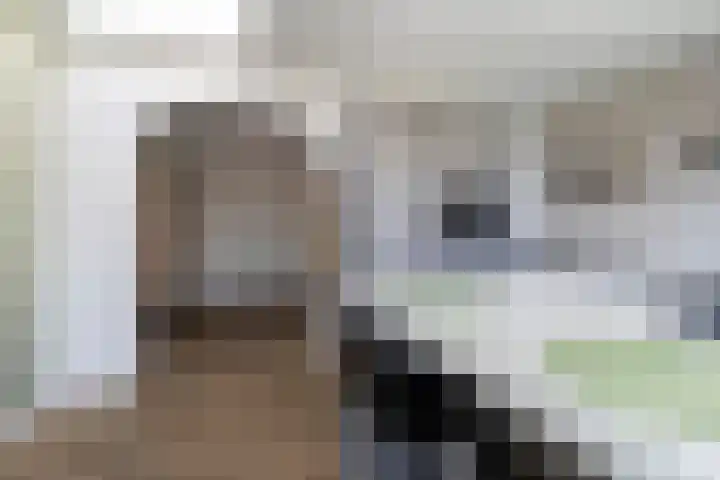 Industrieweg 4 Stramproy thumbnail 11
