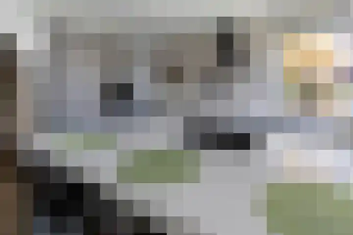 Industrieweg 4 Stramproy thumbnail 12