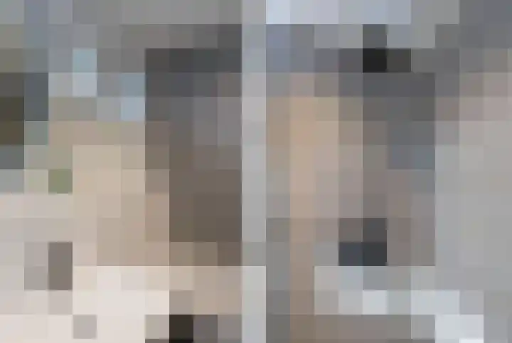 Industrieweg 4 Stramproy thumbnail 20