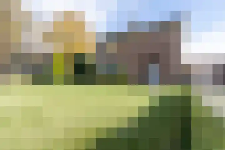 Industrieweg 4 Stramproy thumbnail 42