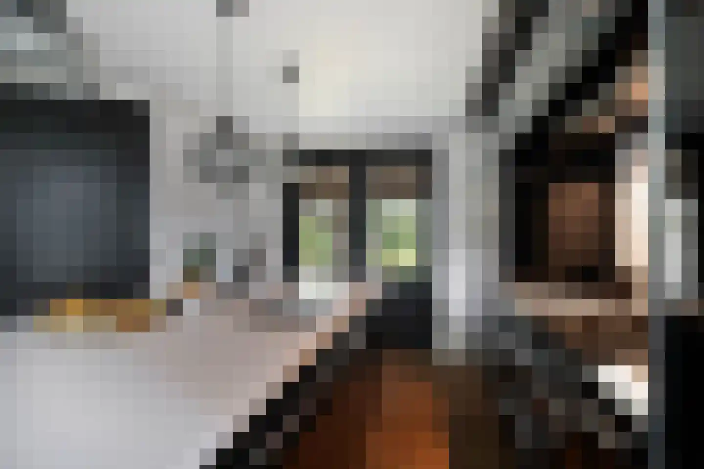 Industrieweg 4 't Harde thumbnail 13