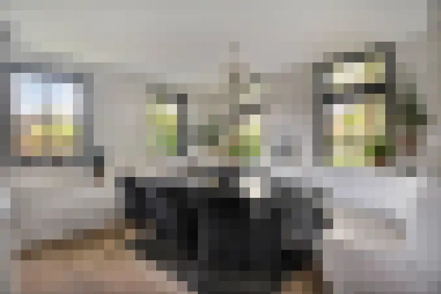 Industrieweg 4 't Harde thumbnail 17