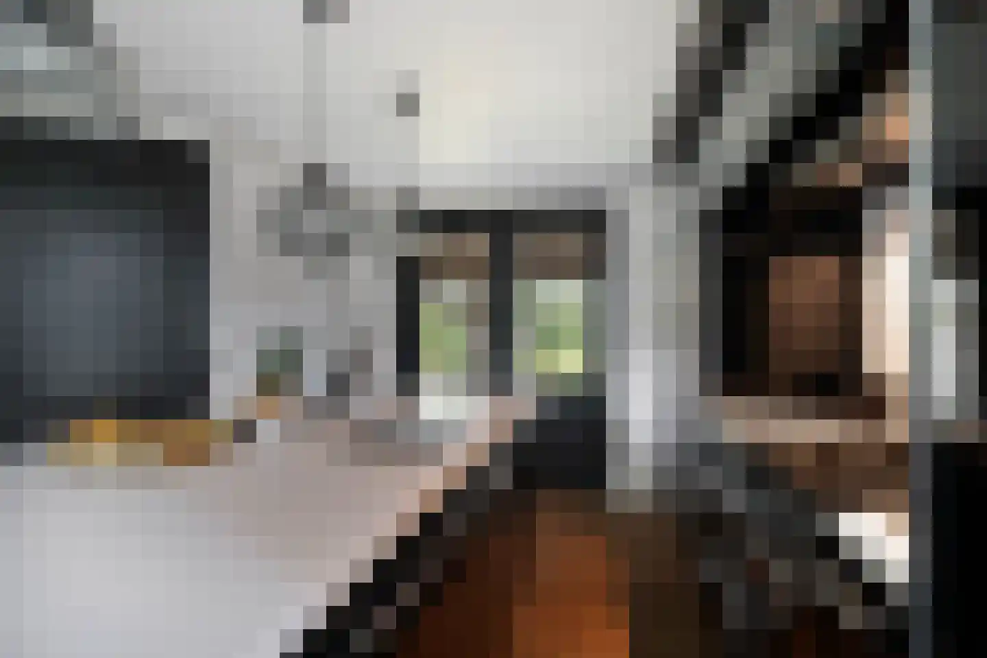 Industrieweg 4 't Harde thumbnail 23