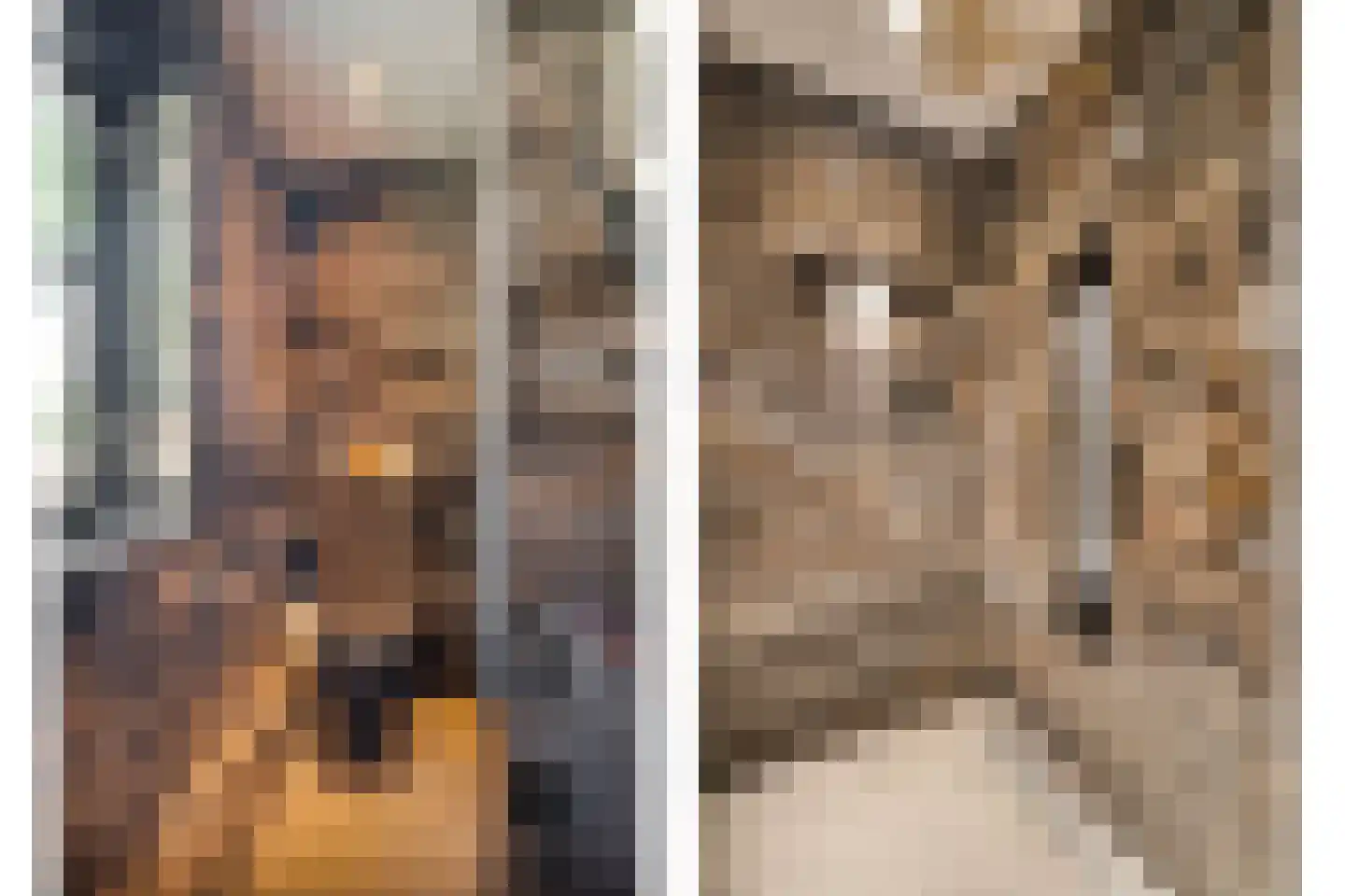 Industrieweg 4 't Harde thumbnail 34