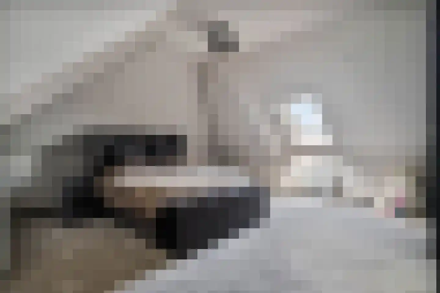 Industrieweg 4 't Harde thumbnail 35
