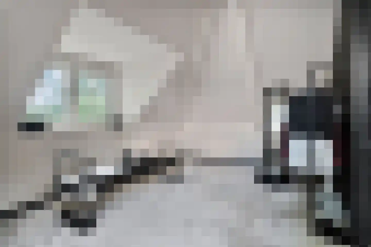Industrieweg 4 't Harde thumbnail 37