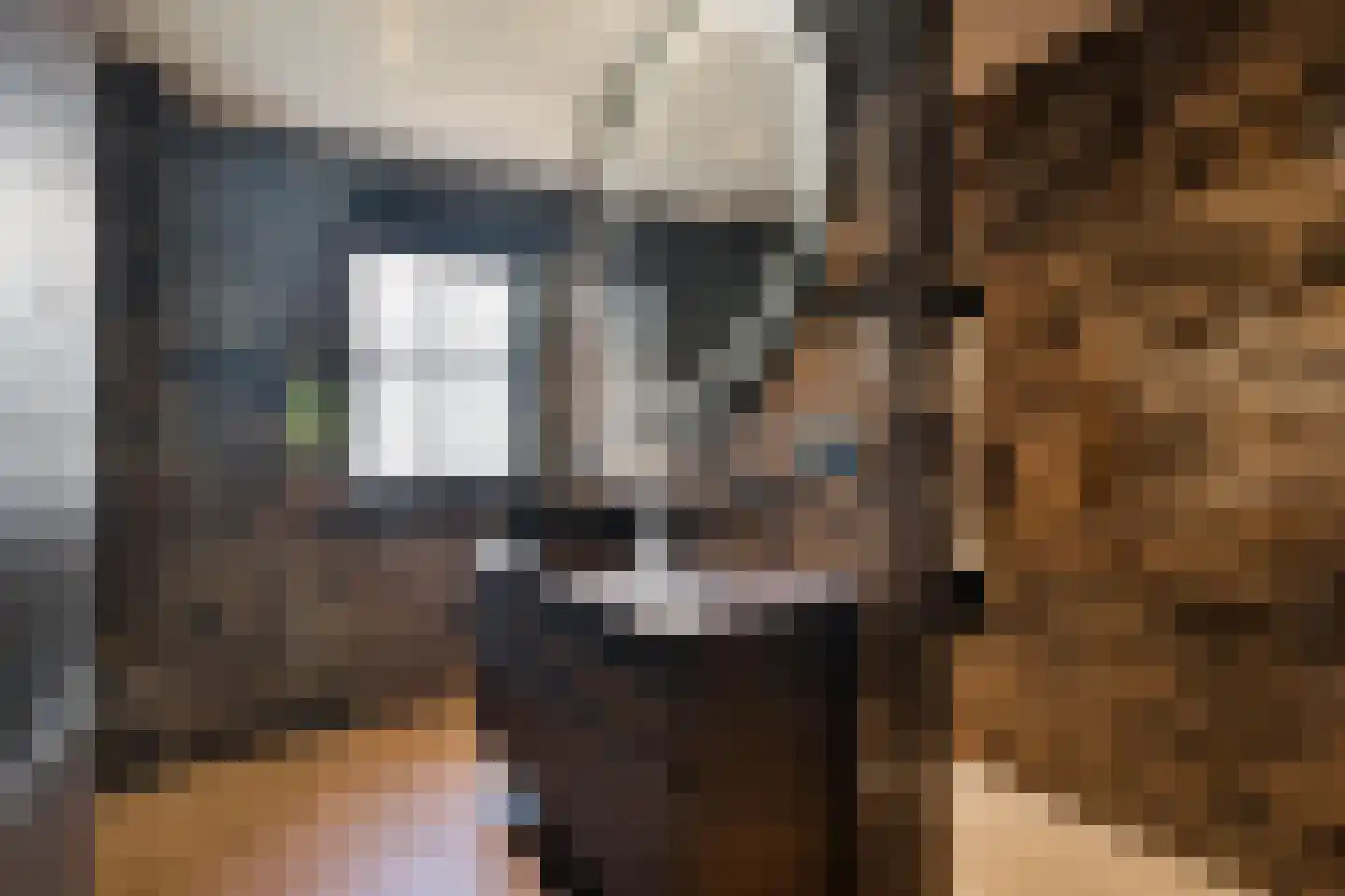 Industrieweg 4 't Harde thumbnail 42