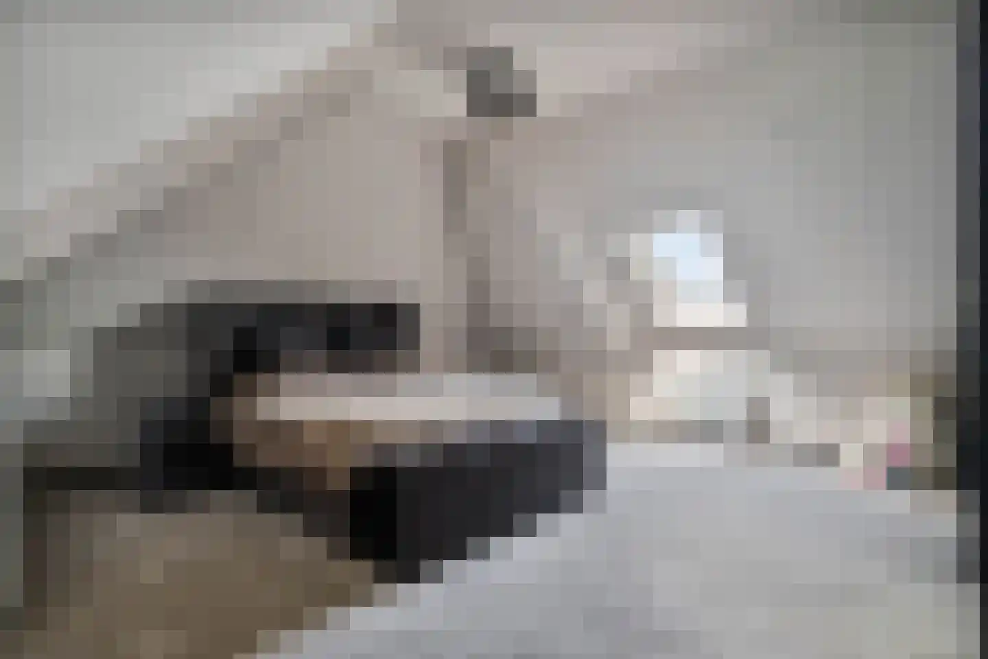 Industrieweg 4 't Harde thumbnail 44